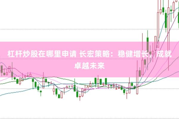 杠杆炒股在哪里申请 长宏策略：稳健增长，成就卓越未来