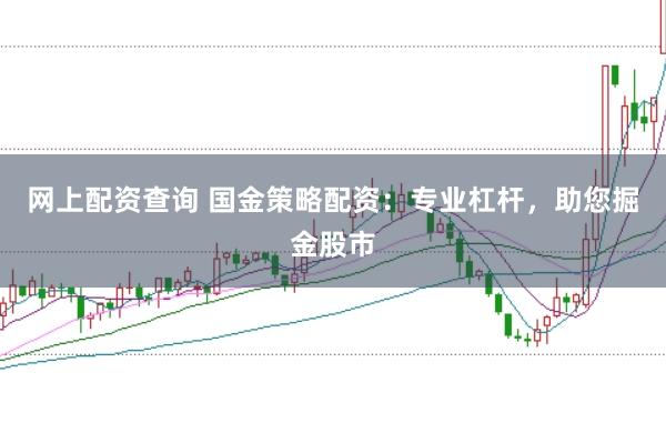 网上配资查询 国金策略配资：专业杠杆，助您掘金股市