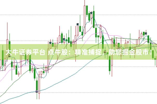 大牛证券平台 点牛股：精准捕捉，助您掘金股市！