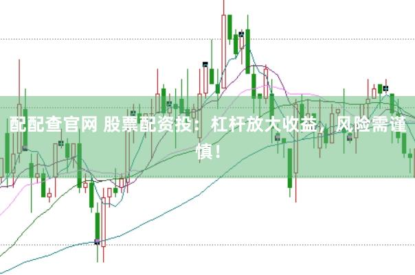 配配查官网 股票配资投：杠杆放大收益，风险需谨慎！