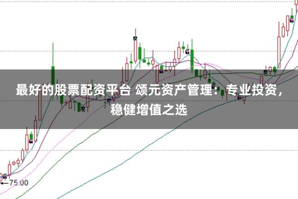 最好的股票配资平台 颂元资产管理：专业投资，稳健增值之选