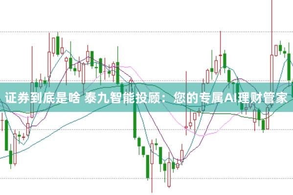 证券到底是啥 泰九智能投顾：您的专属AI理财管家