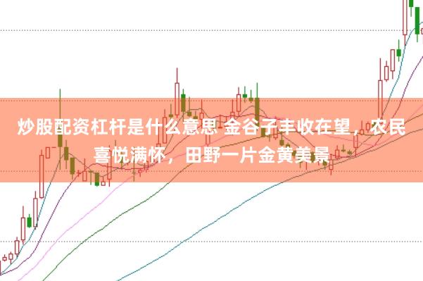 炒股配资杠杆是什么意思 金谷子丰收在望，农民喜悦满怀，田野一片金黄美景