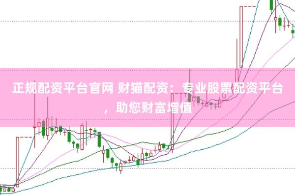 正规配资平台官网 财猫配资：专业股票配资平台，助您财富增值