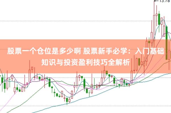 股票一个仓位是多少啊 股票新手必学:入门基础知识与投资盈利技巧全解析