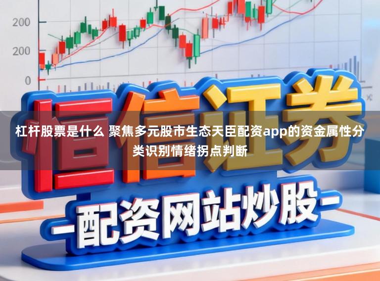 杠杆股票是什么 聚焦多元股市生态天臣配资app的资金属性分类识别情绪拐点判断
