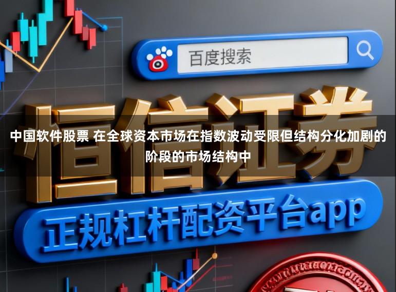 中国软件股票 在全球资本市场在指数波动受限但结构分化加剧的阶段的市场结构中