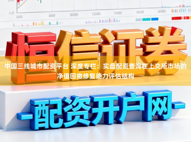 中国三线城市配资平台 深度专栏：实盘配资查询在上交所市场的净值回撤修复能力评估结构